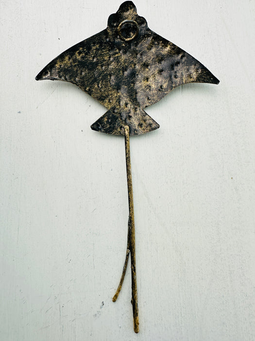 Single Spotted Eagle Ray